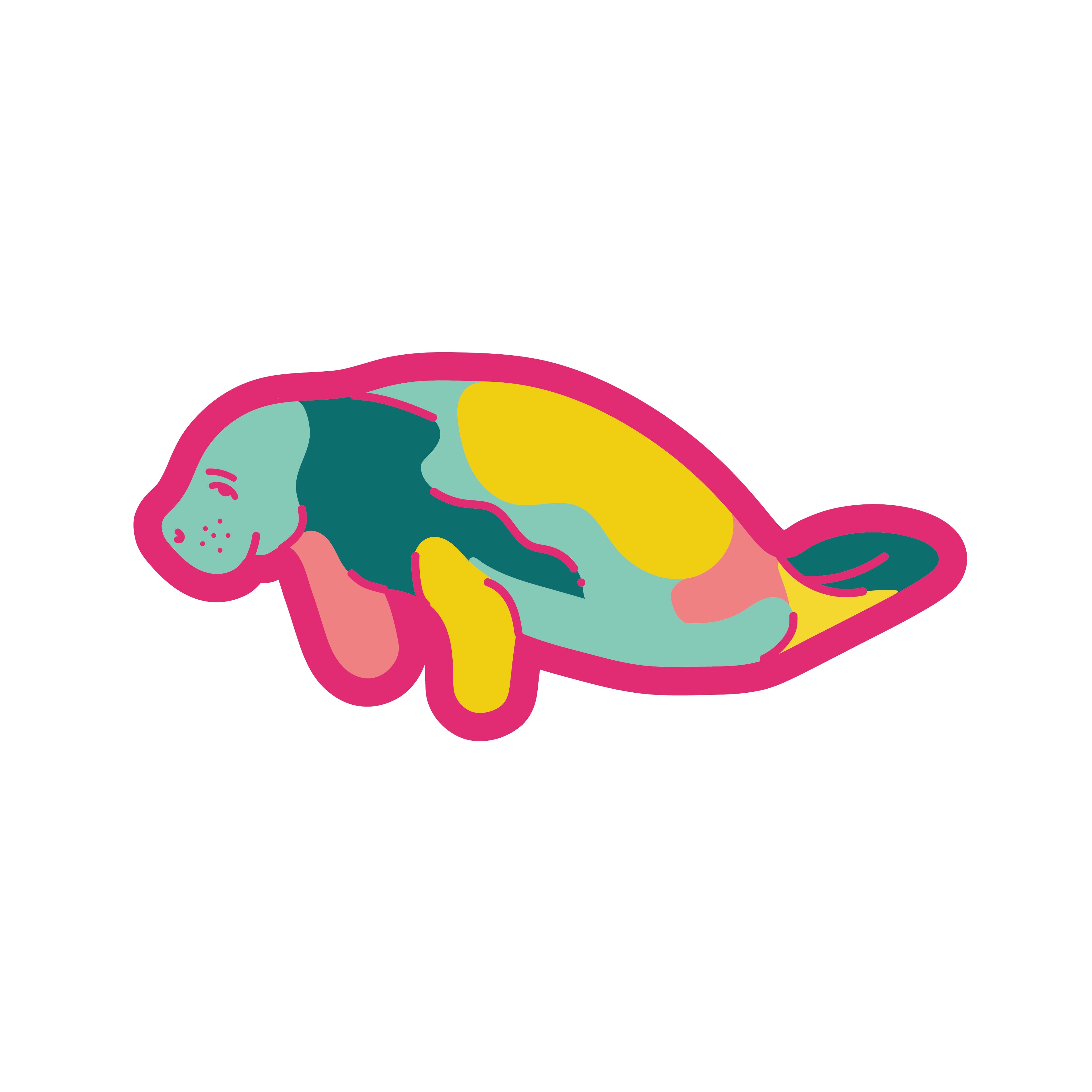 T-Shirt Colourful Manatee Design